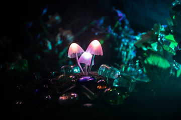 Three fantasy glowing mushrooms in mystery dark forest close-up. Beautiful macro shot of magic mushroom or three souls lost in avatar forest. Fairy lights on background with fog.