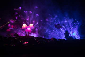 Three fantasy glowing mushrooms in mystery dark forest close-up. Beautiful macro shot of magic mushroom or three souls lost in avatar forest. Fairy lights on background with fog. © zef art