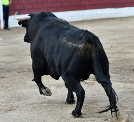 toro