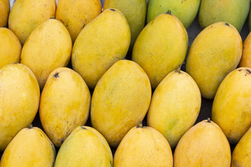Yellow mango photo background. Bunch of tropical fruits. Oval yellow mango pile.