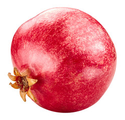 pomegranate fruit isolated