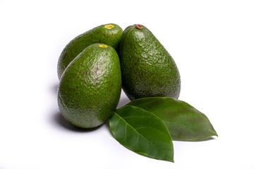 Fresh organic ripe green Fuerte avocado with leaves, copy space close up isolated on white background