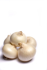Food concept on white background, group of white onions close up copy space isolated