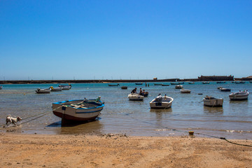 Beach. A sunny day on the beach of Cadiz. Andalusia, Spain. Picture taken – 6 may 2018.