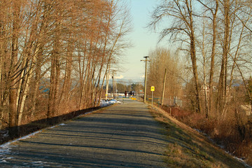 Horseback riding on a trail in the winter.