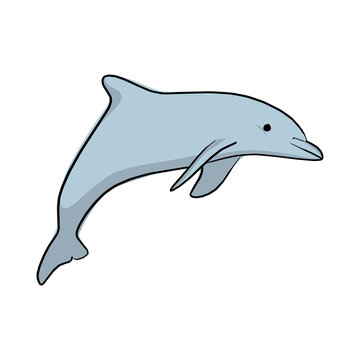 blue dolphin vector illustration sketch doodle hand drawn with black lines isolated on white background