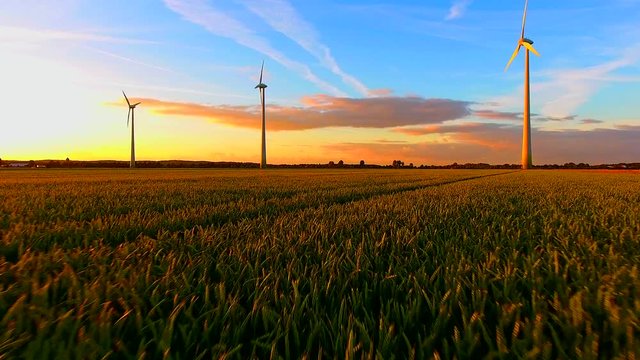 Flying over a grain field towards wind turbines at sunset, Aerial View