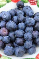 blueberries in a bowl