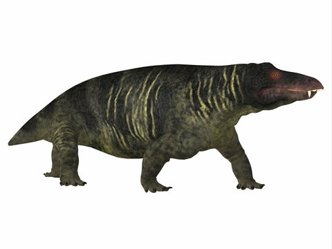 Jonkeria Dinosaur Side Profile - Jonkeria truculenta was an omnivorous therapsid dinosaur that lived in South Africa during the Permian Period.