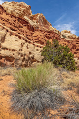 Capitol Reef National Park is in Utah's southern desert. t surrounds a long wrinkle in the earth known as the Waterpocket Fold, with layers of golden sandstone, canyons and striking rock formations.