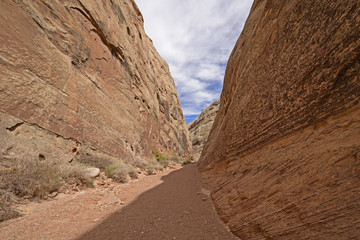 Shade and Light in a Narrow Desert Canyon