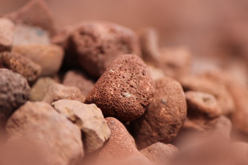 close up of chocolate truffles