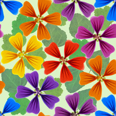 Obraz na płótnie Canvas Lavatera, mallow, malva. Seamless pattern texture of flowers. Floral background, photo collage