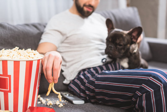 cropped image of loner palming bulldog and taking french fries on sofa in living room