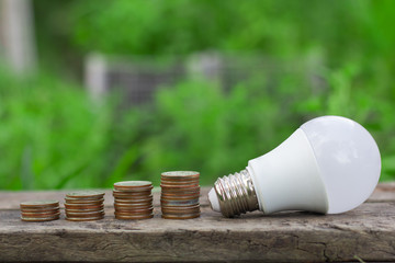 concept energy saving lightbulb with plant growing and money stack. ,concept of idea business finance.