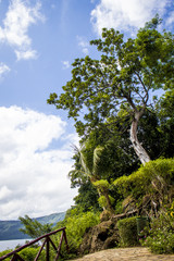 Beautiful Tropical Trees and Flowers Grow along the Path to the Laguna de Apoyo Lake inside an Extinct Volcano Crater in Nicaragua