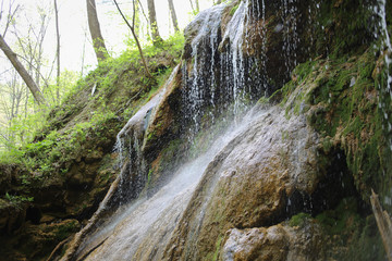 Obraz premium Falls Ridge Preserve The Nature Conservancy Appalachia