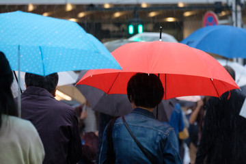 雨・傘