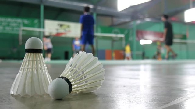 White shuttlecock laying on the floor and a blurred background of badminton practice.