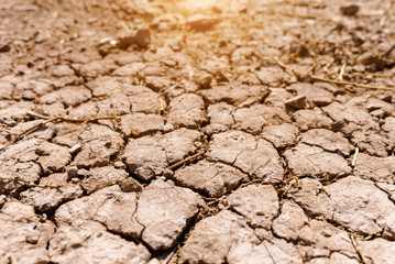 cracked dry ground