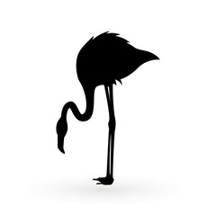 Pink flamingo . Vector illustration .Isolated on white background. Bird illustration design on background.