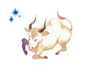 十二星座 牡牛座　水彩 イラスト