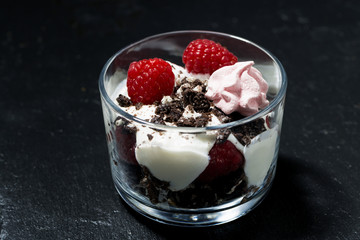 dessert with fresh raspberries, chocolate biscuits and cream on dark background