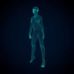 Young woman body from a 3d Grid. Wire frame model. Polygonal geometric design. 3D rendering.