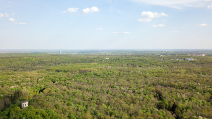 Panoramic view of green forest and blue sky. Photo from the drone