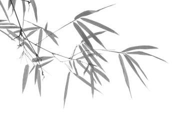 Selbstklebende Fototapete Bambus Bambusblatt in Schwarz-Weiß-Ton..