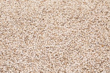Natural Sesame Seeds Background