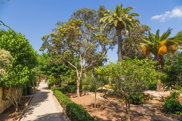 Fototapeta premium Naxxar, Malta. Alley in the Palazzo Parisio Gardens