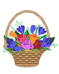 flowers in the basket. Vector illustration