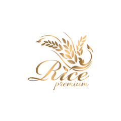 rice premium organic natural product 