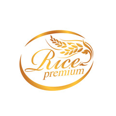 rice premium organic natural product 
