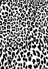 Leoparn skin pattern design