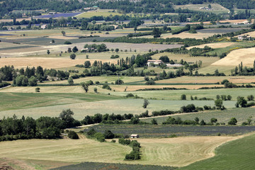 Fototapeta premium Patchwork of Farmer's fields in valley below Sault, Provence France