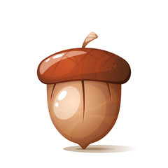Cartoon acorn, nuts on the white backgrpund. Vector eps 10