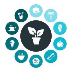 food, nature, drinks Infographic Colorful fill Icons Set. Contains such Icons as  tomato, hot,  energy,  eco,  bulb,  plant,  espresso, nature,  mustard,  lunch and more. Fully Editable. Pixel Perfect