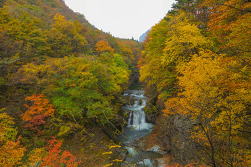 鳳鳴四十八滝 紅葉 宮城県