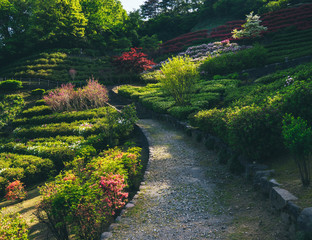 Naklejka premium Kanazawa, Japan