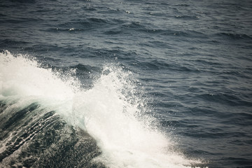 White crest of a sea wave. Selective focus. Shallow depth of field. Toned