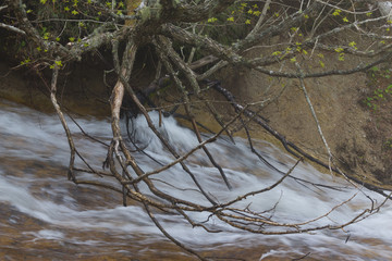 Stormy water of a river in the forest. Selective focus