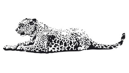 Leopard Vector Art