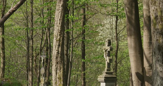 Old cemetery in the forest, tilt left, spring, 4k