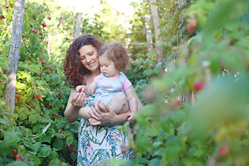 Picking rasperries. Woman with a baby in summer garden. Country life, family