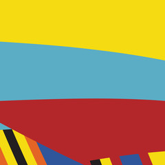 Zebra Pop Abstract Stripe Pattern