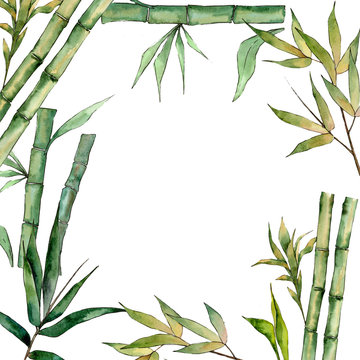 Bamboo tree frame in a watercolor style. Aquarelle wild bamboo tree for background, texture, wrapper pattern, frame or border.