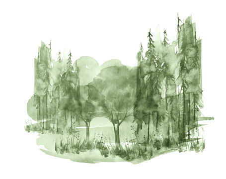 Watercolor painting, picture, 
landscape - green forest, nature, tree. It can be used as logo, card, illustration.