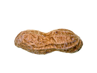 Close up peanut on white background.